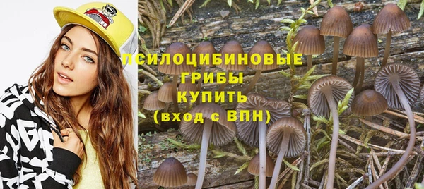 хмурый Белоозёрский