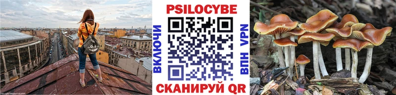 Псилоцибиновые грибы MAGIC MUSHROOMS  закладки  Туринск 